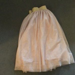 Blush and gold skirt